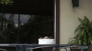 Want To Go Inside? Tyler Hill, Daniel Ross