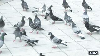 Home Wrecker 1 Chris Harder, Jarec Wentworth