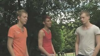 Four Twinks Fucking Outside