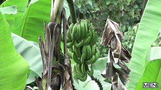 Tarzan: A Gay XXX Parody Part 2