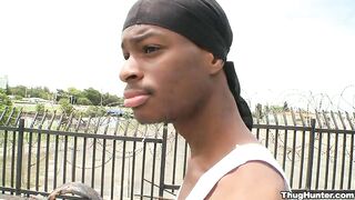 Getting Lo On The Beezy