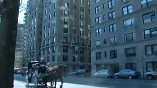 Milan Gamiani Services Michael Lucas