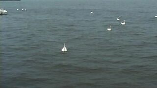 Andy Hunter, Erik Grant, Owen Hawk