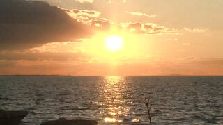 Jackson Wild, Michael Lucas and Wilfried Knight