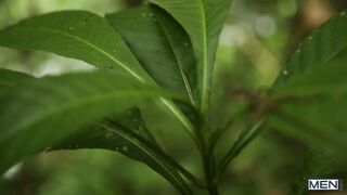 Tarzan: A Gay XXX Parody Part 1