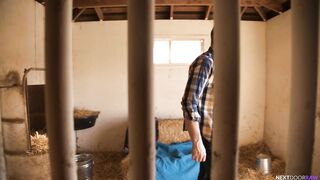 Hay Bros (Carter Woods, Julian Brady)