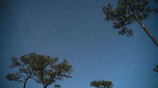 Camp Bareback Boys 2